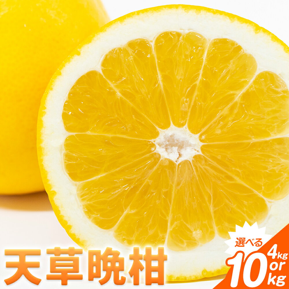 【ふるさと納税】 柑橘 天草晩柑 選べる 約4kg 約10kg あまくさ晩柑 晩柑 ばんかん 天草 西海岸 苓北 都呂々 南国 潮風 国産 九州 熊本 果物 フルーツ 10キロ 送料無料《3月上旬-5月下旬頃出荷予定》