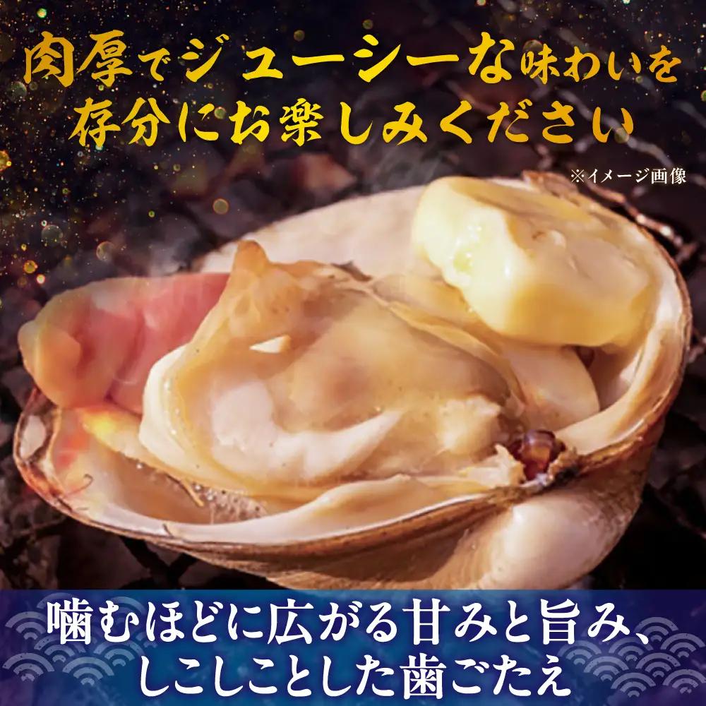 【2026年7月中旬以降順次発送再開】活ほっき貝 3kg 約10〜18個  ホッキ 冷蔵発送 [AXAL003]