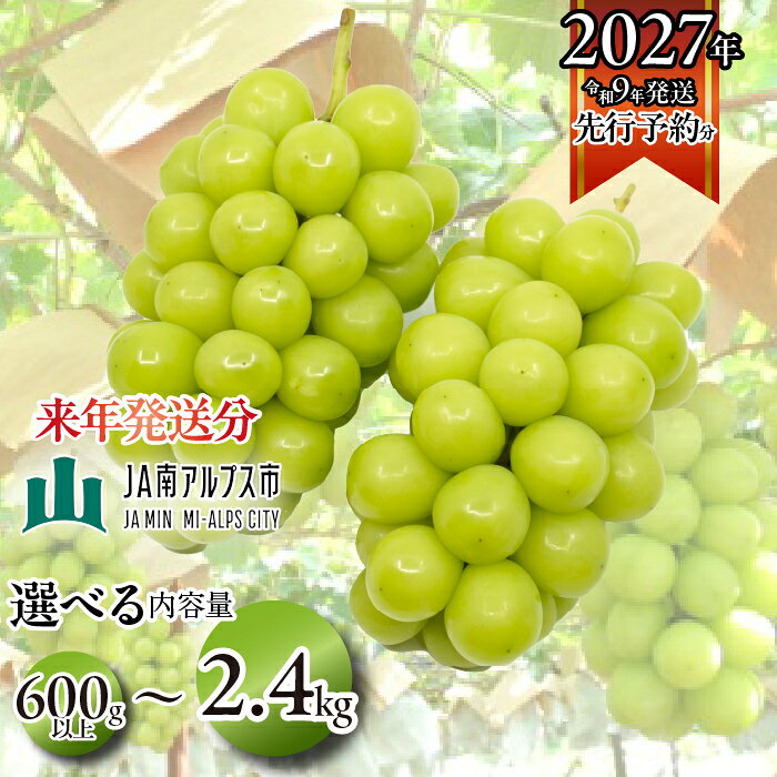先行予約 シャインマスカット 約1.2kg 2024年産 皮ごと食べられる 種なしぶどう 5-1＜出荷時期：2024年9月上旬～10月中旬ごろ＞【先行予約 フルーツ ぶどう マスカット 山梨県 南アルプス市 】