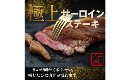 [A5]仙台牛のサーロインステーキ　最高級の和牛をまとめ買い！