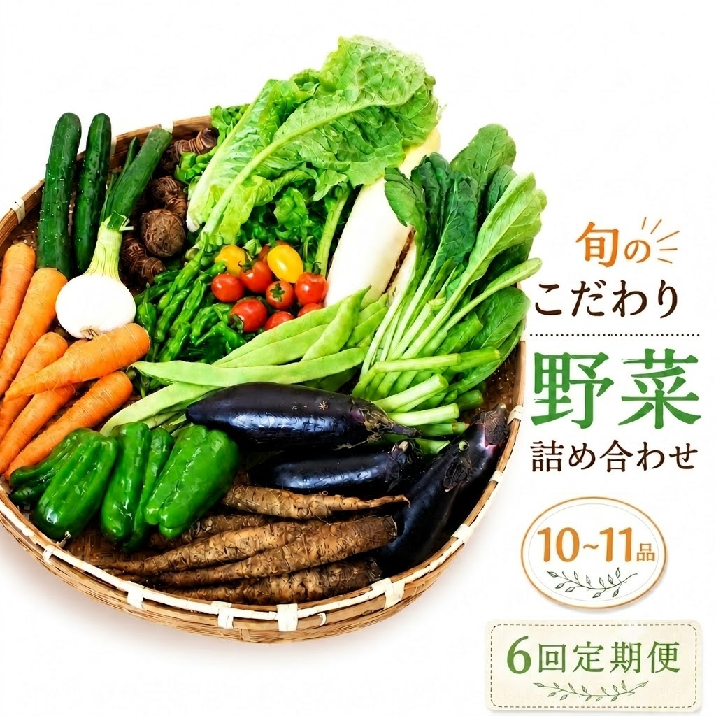 【先行予約】 【6回定期便】 朝採れ新鮮！ 野菜セット(10～11品) | 野菜セット 新鮮 野菜 人気 季節の野菜 数量限定 おすすめ 森尾商店 高知県 南国市