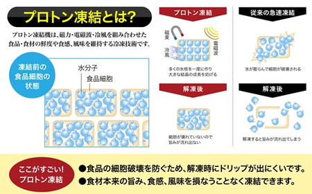 【道水の冷凍ホタテ貝柱】プロトン帆立２kg（1kg×２袋） 北海道産 産地直送 お刺身や生食可 【 ふるさと納税 人気 おすすめ ランキング ほたて ホタテ 帆立 ほたて貝柱 ホタテ貝柱 帆立貝柱 プ