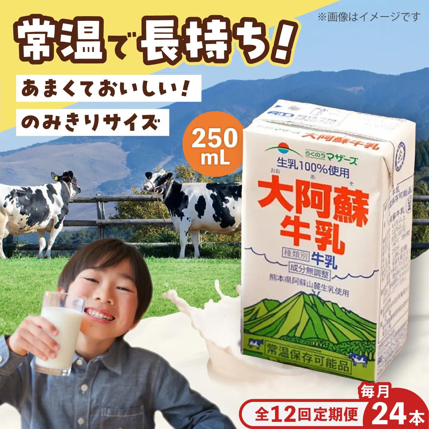 【全12回定期便】大阿蘇 牛乳 250ml24本入り 牛乳 BHBY024