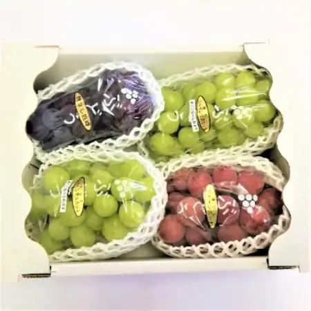 生産者直送!　シャインマスカット2房と大粒他品種ぶどうの詰め合わせ　約2.1kg　【種無し】【配送不可地域：離島】【1186898】