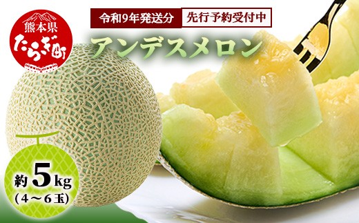 
                  【2027年4月中旬〜発送 予約】アンデスメロン 4玉〜6玉 (約5kg) 先行予約 多良木町 熊本県 メロン フルーツ 果物 期間限定 数量限定 旬 令和9年 108-0501
                