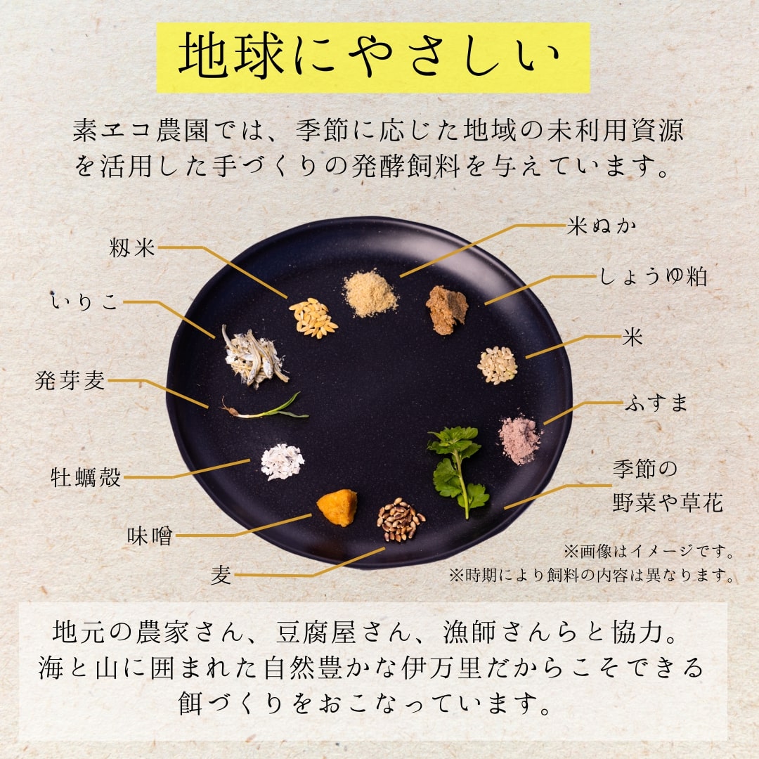 【3回定期便】平飼いで のびのび！ばあちゃんの昔たまご 40個/月 割れ保証あり B618_イメージ5