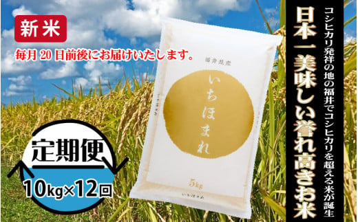 
            【定期便 12回コース】福井県産 いちほまれ 10kg × 12回 計120kg [O-3256]
          