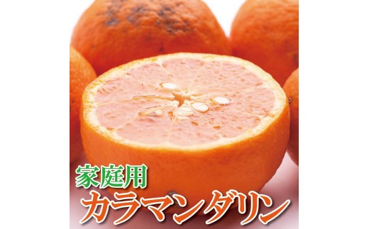 
            ［先行予約］家庭用 カラマンダリン2.5kg+250g（傷み補償分）［南津海・なつみ］［希少な春柑橘］［わけあり・訳あり］［みかんと同じように食べられます］［IKE68］
          