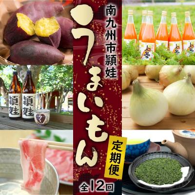 ふるさと納税 南九州市 【全12回】南九州市頴娃うまいもん定期便