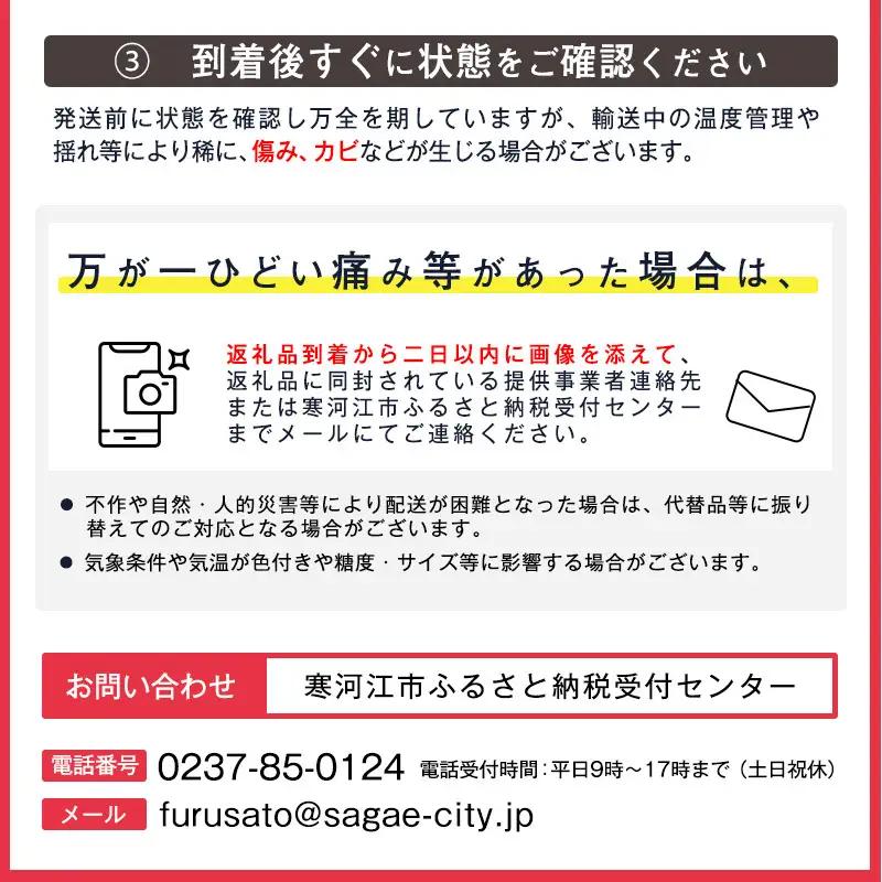 【ご自宅用】令和8年産 秀品 洋梨「ラ・フランス」3kg サイズおまかせ 山形県産【2026年10月末頃から12月上旬頃】　011-B-JA057