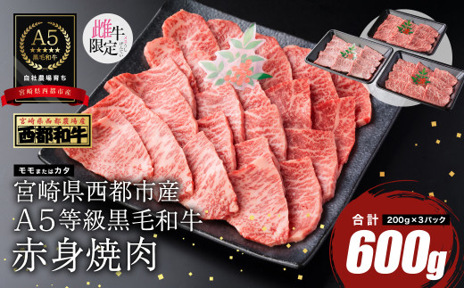 【雌牛限定！最高品質のA5等級 】厳選の黒毛和牛 赤身焼肉 600g （200g×3）オレイン酸含有率55%以上 小分け 牛肉 国産 宮崎県産 西都市産【カミチクファーム・西都和牛】＜1.4-6＞ 6