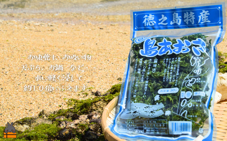 【2026年とれたて！】煌きの海からの恵み！島あおさ（3袋）( アオサ あおさ のり 海苔 乾物 徳之島 奄美 鹿児島 お味噌汁 料理 てんぷら 卵焼き 美味しい 新鮮 )