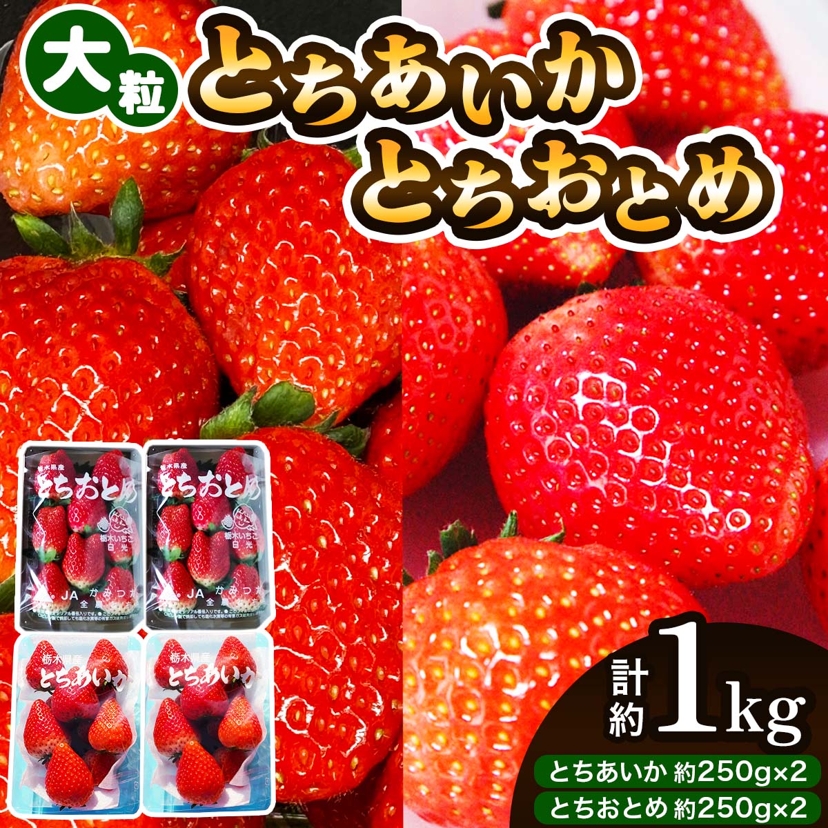 大粒とちあいか＋大粒とちおとめ 計4パック／約1kg (各2パック)《2026年1月上旬より順次発送》｜先行予約 とちあいか とちおとめ いちご イチゴ 苺 大粒 果物 果実 フルーツ 産地直送 日光市産 栃木県産 数量限定 [0782]