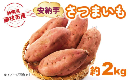 【2025年11月～順次発送予定】 さつまいも 安納芋 約2kg 期間限定 期間限定 サツマイモ 焼き芋 イモ 芋 いも 野菜 健康 やさい 人気 おすすめ 静岡県 藤枝市