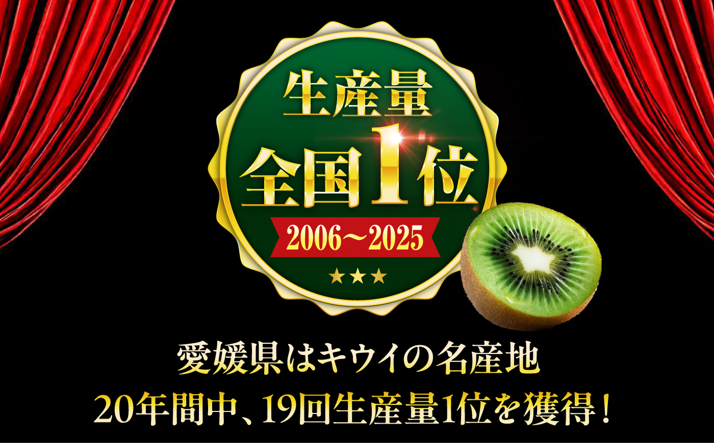 【2026年11月上旬から順次発送】訳アリ キウイフルーツ 約2kg　愛媛県大洲市/沢井青果有限会社 訳アリ 訳あり ご家庭用　 [AGBN051]