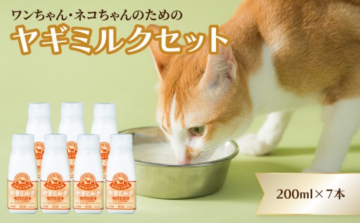 
                  ワンちゃん、ネコちゃんの大好きなヤギミルク　200ml×7本　ペットフード 栄養 猫 犬 発育 促進 国産 ミルク フード 安心 ペット R14079
                
