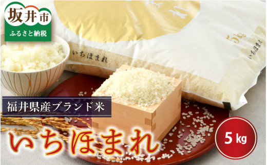【令和7年産】さんさん池見二代目がお届けする 福井県産いちほまれ 5kg（玄米） [B-0219_04]