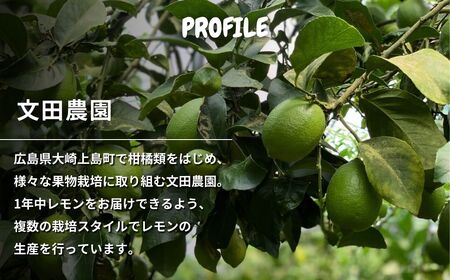 露地 グリーンレモン 約3kg 【2026年10月中旬以降発送】