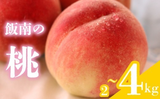 
                  【2026年6月下旬より順次発送】 桃 約2～4kg 飯南の桃 もも モモ 果物 くだもの 果実 フルーツ 旬 旬の果物 デザート スイーツ おやつ ゼリー ジュース 人気果物 人気フルーツ ランキング 香川 丸亀
                