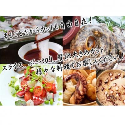 ふるさと納税 国東市 船上活き締め!生たこ丸ごと約1kg(約1〜4杯)_1810R |  | 02