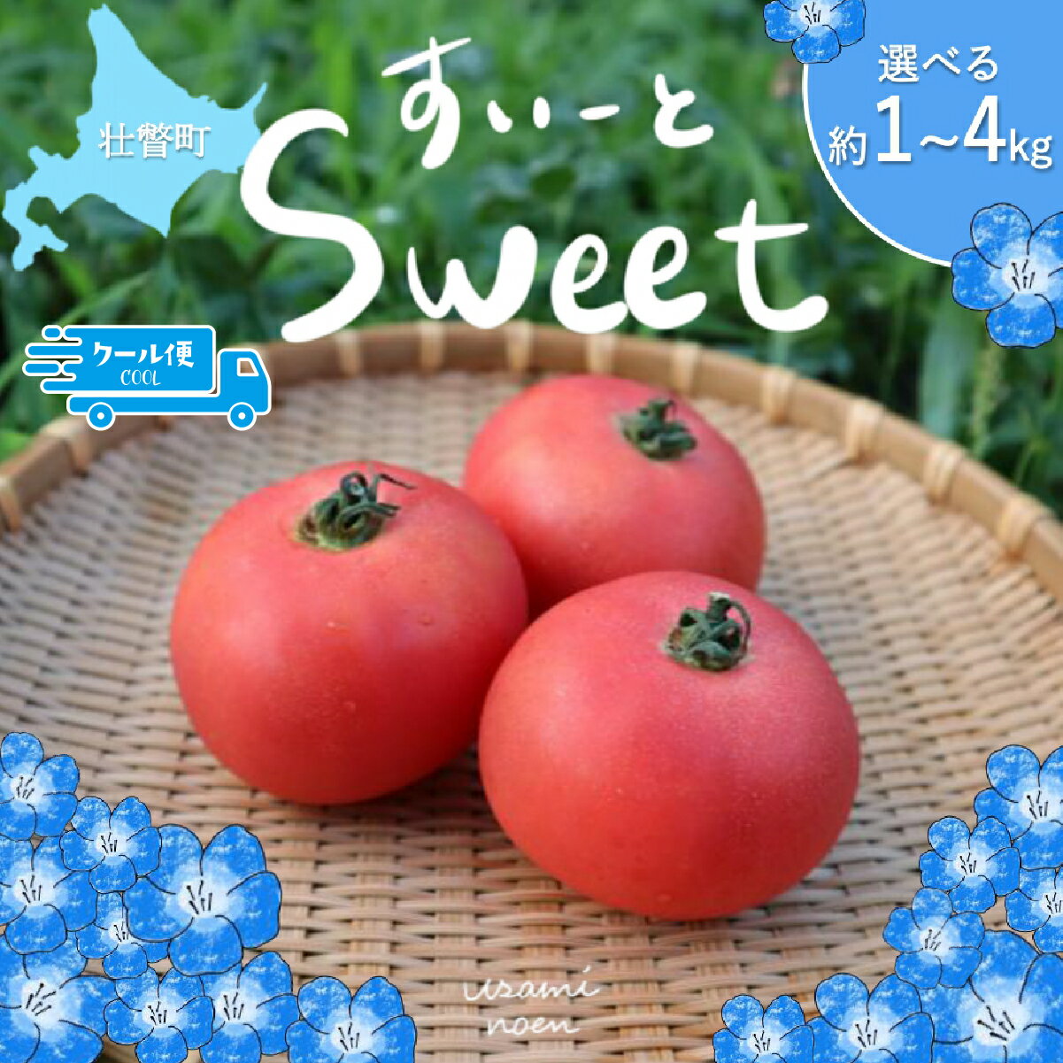 【ふるさと納税】（2026年予約）極旨トマトクール便 北海道壮瞥町産 スイート 中玉トマト 選べる 約1kg ～ 約4kg 【人気 トマト とまと 野菜 スイート 中玉トマト フルーツトマト フルーツ ミニトマト 甘い 糖度 美味しい 完熟 グルメ 北海道 壮瞥町 送料無料 】 SBTAJ016