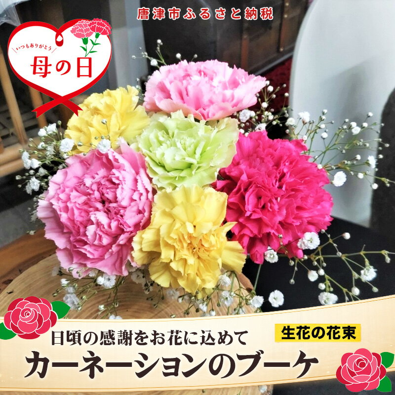 【ふるさと納税】母の日ギフト お母さんありがとう！カーネーションのブーケ お祝い 記念日 フラワーギフト 「2026年 令和8年」「母の日」Hahanohi