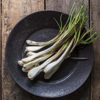 【2026年5月上旬から順次発送】農家直送!国頭村・島袋さんの採れたて島らっきょう 1kg