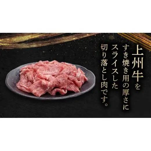 【 定期便 隔月 3回 】上州牛 切り落とし 1kg ( 500g × 2パック ) [AH029tu]