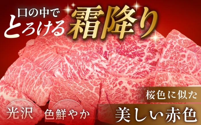 飛騨牛 A5等級 もも 牛肉 和牛 焼肉 ステーキ BBQ 冷蔵 新鮮 高級 贈答 ギフト おすすめ 人気 岐阜県 恵那市
