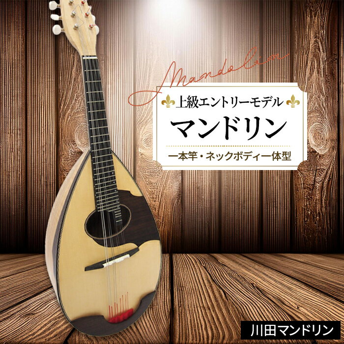 【ふるさと納税】【上級エントリーモデル】マンドリン [No.290] ／ 楽器 弦楽器 送料無料 岐阜県