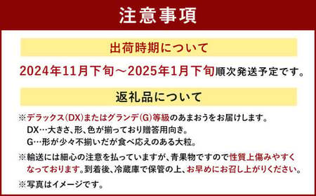 福岡産【冬】 あまおう 2パック いちご 苺 果物 フルーツ 福岡 太宰府【2024年11月下旬～2025年1月下旬発送予定】