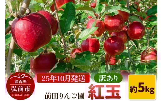 【25年10月発送】りんご【訳あり】紅玉 約5kg  前田りんご園【レビューキャンペーン】