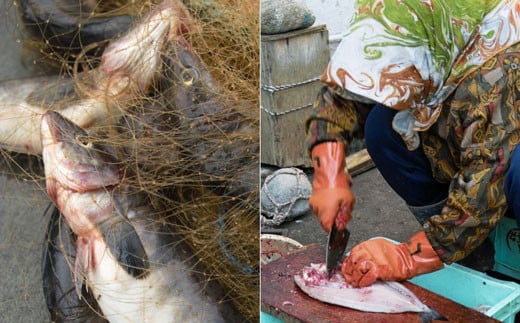 【数量限定】釧路産・開き真ホッケ5枚 ふるさと納税 ホッケ _F4F-3520