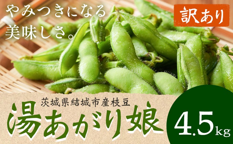 【先行予約・訳あり】 茨城県結城市産枝豆「湯あがり娘」4.5kg （茶豆味）　有限会社大嶋農園 《7月中旬-8月上旬頃出荷》 野菜 国産 甘み 香り 濃厚 つまみ ビールのおつまみ ビールのつまみ【配送不可地域あり】---yuki_osm_8_4500g---