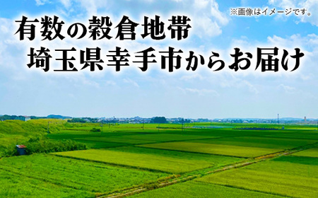 令和6年幸手産 こしひかり【精米】5㎏×1袋 - コシヒカリ 精米 5kg 令和６年産 埼玉県 幸手市 幸手市産