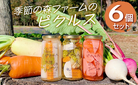 【無添加】季節の森ファームのピクルス 6個セット ※着日指定不可 _BI89