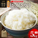 【ふるさと納税】無洗米 ヒノヒカリ 5kg×6回 定期便 宮崎県都城市産 ＜単一原料米＞