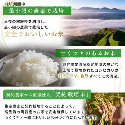 ふるさと納税 菊池市 熊本県菊池産 こだわり七城米 5kg(菊池市) |  | 01