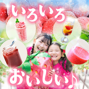 【栃木県共通返礼品】【定期便9回】冷凍いちご 3kg | いちご とちあいか 冷凍 冷凍イチゴ スイーツ ジャム スムージー たっぷり 大粒  甘い 美味しい 果物 デザート 栃木県 那珂川町 送料無