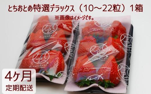 【4ヶ月定期便】いちご とちおとめ特選デラックス（10～22粒）1箱×4回 苺 イチゴ とちおとめ 選べる 発送月 発送回数 個数 いちご「とちおとめ」風早いちご園 有名ホテル使用 厳選 フルーツ 果