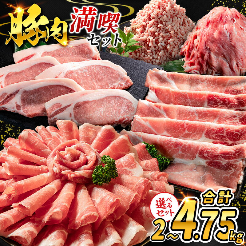 【ふるさと納税】数量限定 ＜選べる満喫セット＞ 豚肉 国産 お試し ロース 肩ロース スライス モモ ウデ ミンチ ハンバーグ しゃぶしゃぶ 詰め合わせ 大容量 冷凍 小分け 便利 おすすめ 送料無料