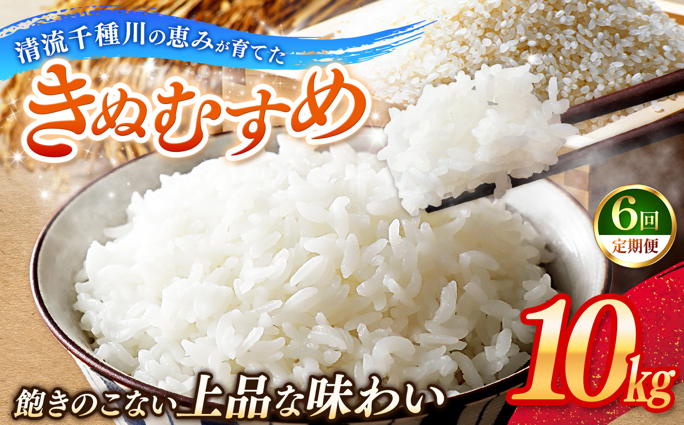 【定期便6回】令和7年産 上郡町からのお米 きぬむすめ10kg×6回 | お米 きぬむすめ 定期便 千種川 農家 和食 安心 安全 産地直送 おいしい グルメ こだわり 逸品 国産 兵庫県 上郡町
