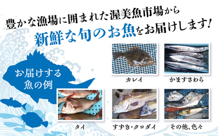 旬の鮮魚 おまかせ3種セット 加熱用 下処理済み 捌き済み 簡単 鮮魚 魚介類 魚セット 愛知県 田原市 海鮮 魚介類 魚 3枚おろし 開き  おすすめ 料理 調理 簡単調理 手軽