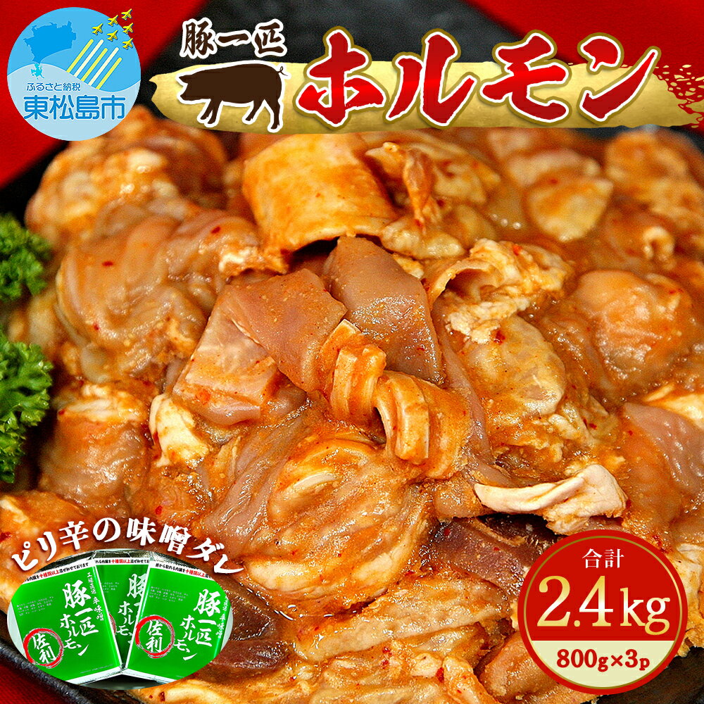【ふるさと納税】国産 豚ホルモン(ミックス) 辛味噌味 2.4kg（800g×3袋）冷凍 宮城県 東松島市 C