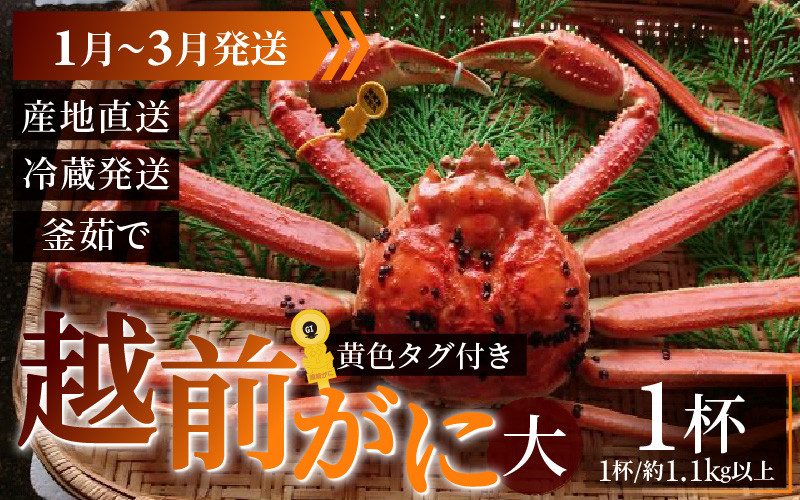 
                  【先行予約】越前がに 大 (約1.1kg以上)×1杯【1月～3月発送】
                