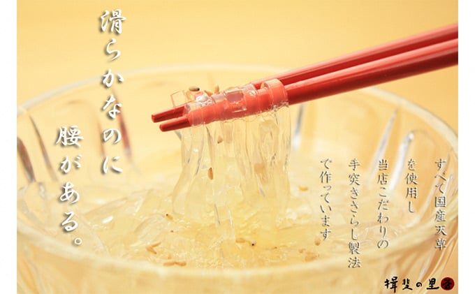 
            ところてん 昔ながらの手突きさらし トコロテン 1袋2パック×12袋 セット 三杯酢味 伊豆 天草 100% ところ天 心太 スイーツ お菓子 菓子 おやつ デザート 和菓子 加工食品　【 岐阜県池田町 】
          