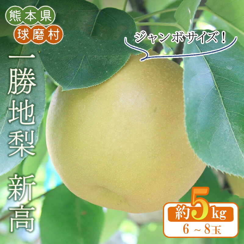【ふるさと納税】《先行予約》 一勝地梨 新高／約5kg 6～8玉 熊本県 球磨村 なし フルーツ 期間限定 にいたか ジャンボ梨 果物 くだもの 旬の果物 デザート 数量限定 FKP9-653