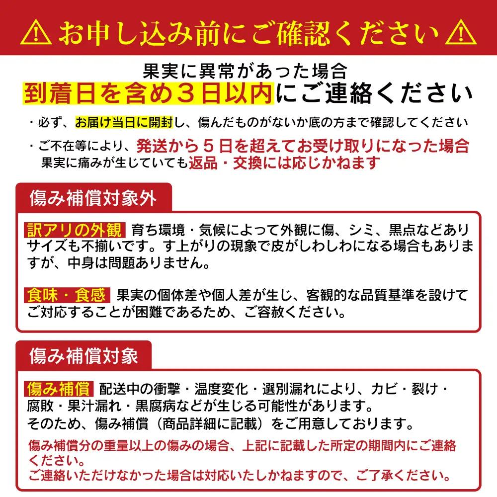 贈答用 美生柑 みしょうかん 約 3.5kg 河内晩柑 かわちばんかん 愛媛 愛南 マルエム直販