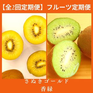 【全2回フルーツ定期便】さぬき讃フルーツ　さぬきゴールドと香緑(キウイフルーツ)【C-25】