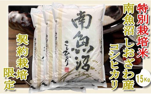 
【精米１５Kg】特別栽培 生産者限定 南魚沼しおざわ産コシヒカリ
